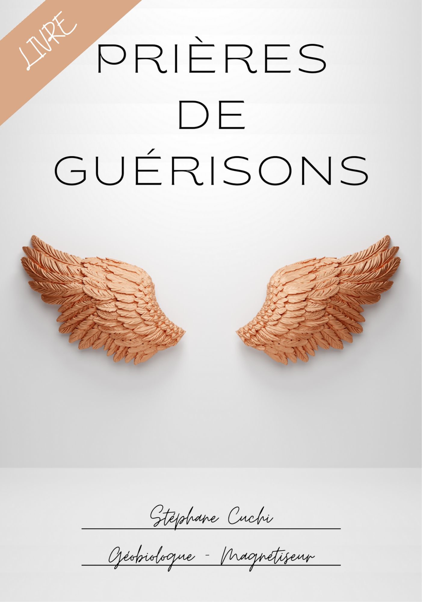 magnétiseur - Amazon